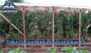 Tomaten Rankhilfe selber bauen in unter 30 min