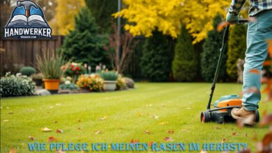 Wie pflege ich meinen Rasen im Herbst