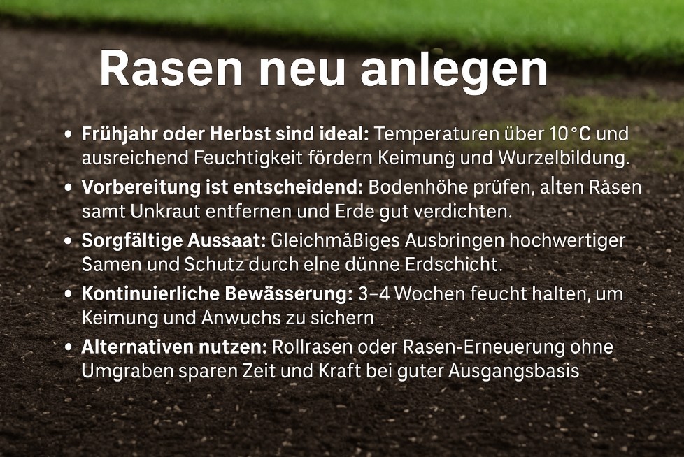 Rasen neu anlegen: Anleitung & Tipps vom Profi