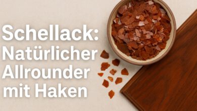 Was ist Schellack? – Alles über das Naturharz aus der Lackschildlaus