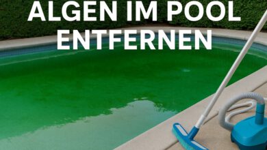 Algen im Pool entfernen