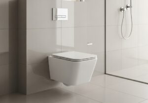 Unterputz-WC-Zulauf entkalken
