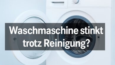 Waschmaschine stinkt trotz Reinigung?