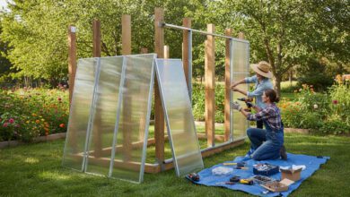 Bauen Sie Ihr eigenes Gewächshaus – praktische Anleitung für Heimwerker