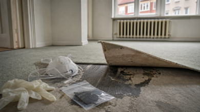 Alter Teppich wird angehoben und zeigt dunkle Klebereste mit Schutzausrüstung für Asbestverdacht