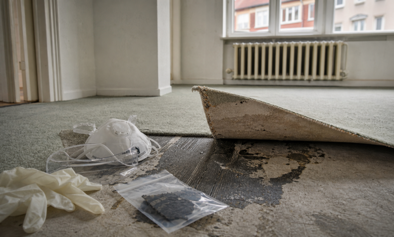 Alter Teppich wird angehoben und zeigt dunkle Klebereste mit Schutzausrüstung für Asbestverdacht